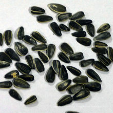 Wholesale purity natural big striped sunflower seeds with high quality